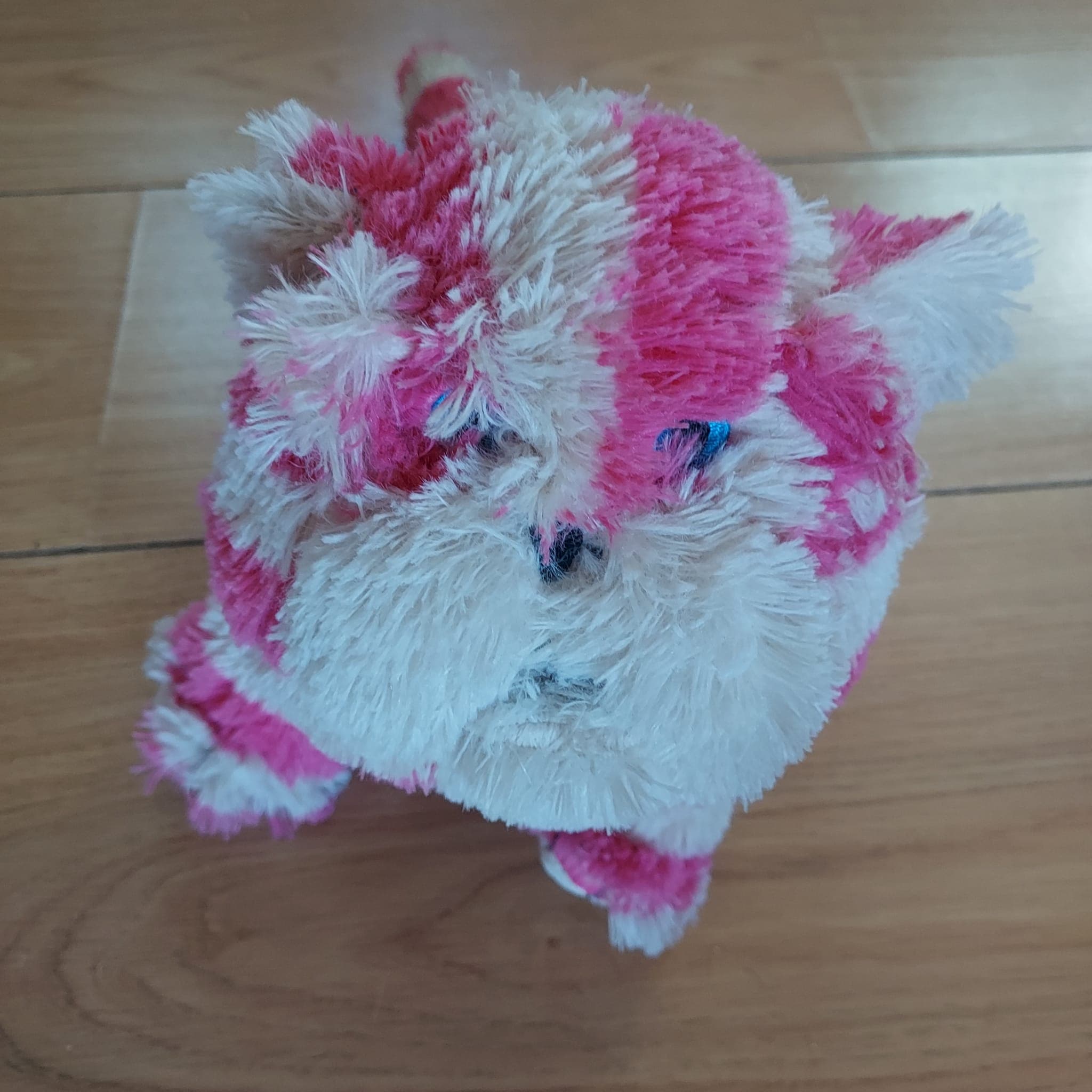 This lil fella